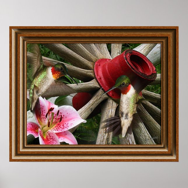 Poster Colibris 'encadrés' (Devant)