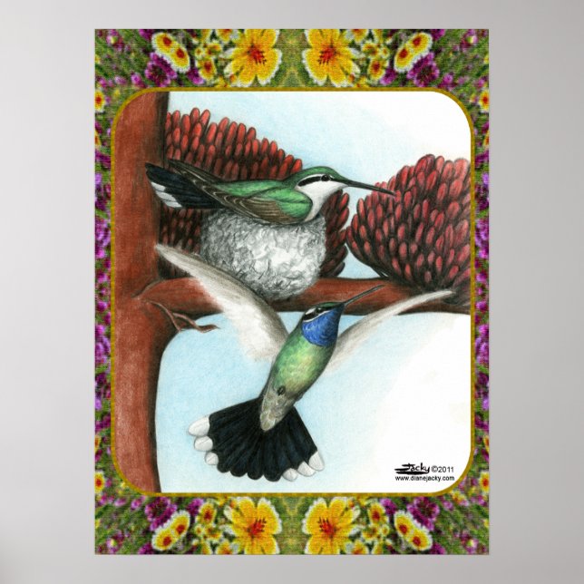 Poster Colibris et fleurs #3 (Devant)