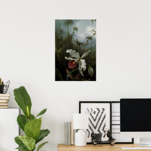 Poster Colibris et orchidée blanche par Martin J. Heade