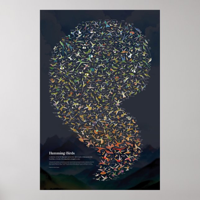 Poster Colibris - Sombre (Devant)