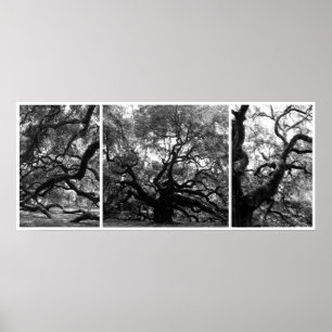 Poster Collage d'arbre d'ange