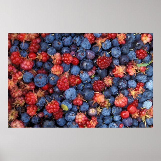 Poster Collage de baies sauvages Bleues Bleues Framboises (Devant)