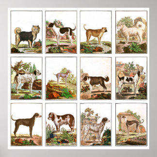 Poster Collage de chiens de style vintage
