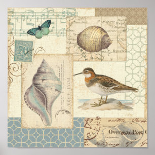 Poster Collage de coquillages