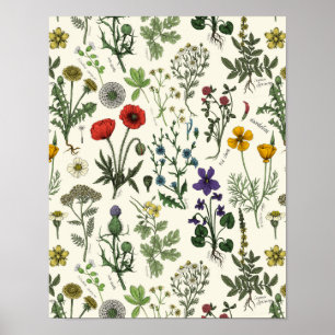Poster Collage de fleurs sauvages