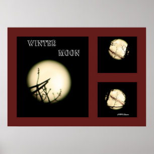 Poster Collage de la lune d'hiver