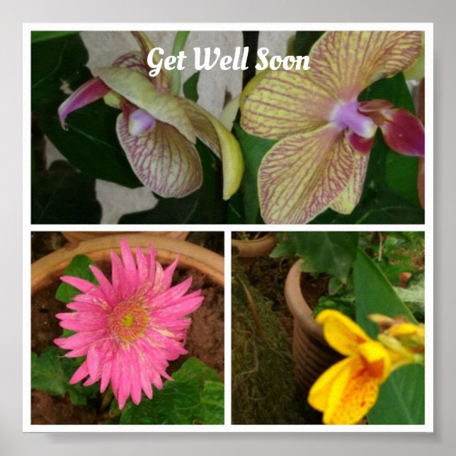 Poster Collage de photos florales (Devant)