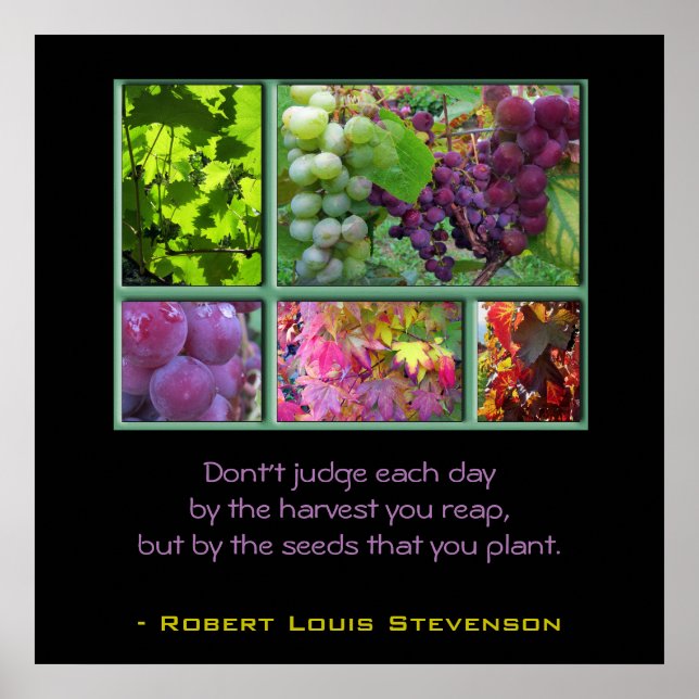 Poster Collage de raisins d'automne avec devis (Devant)