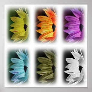 Poster Collage de tournesol