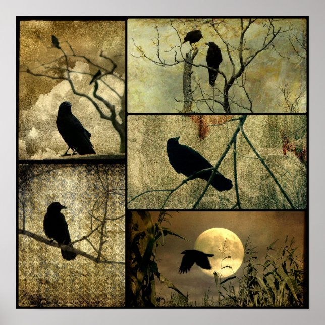 Poster Collage des corbeaux (Devant)