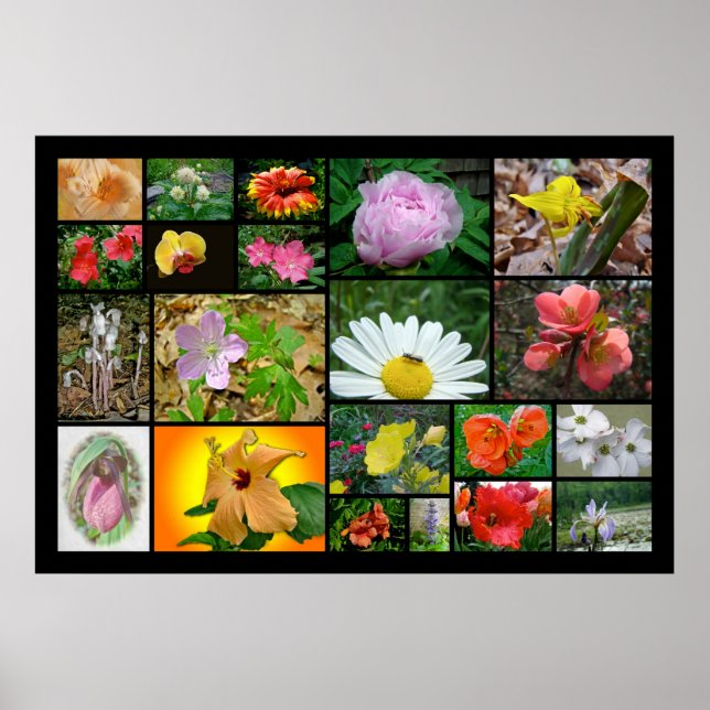 Poster Collage floral #2 (Devant)