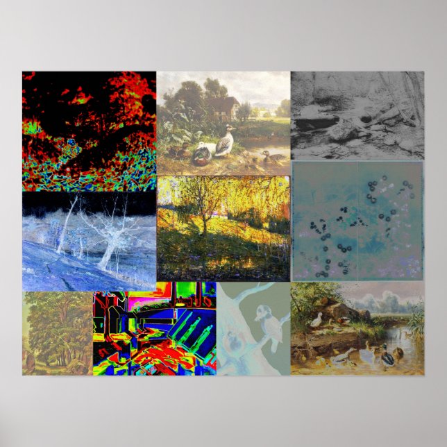 Poster Collage naturel (Devant)