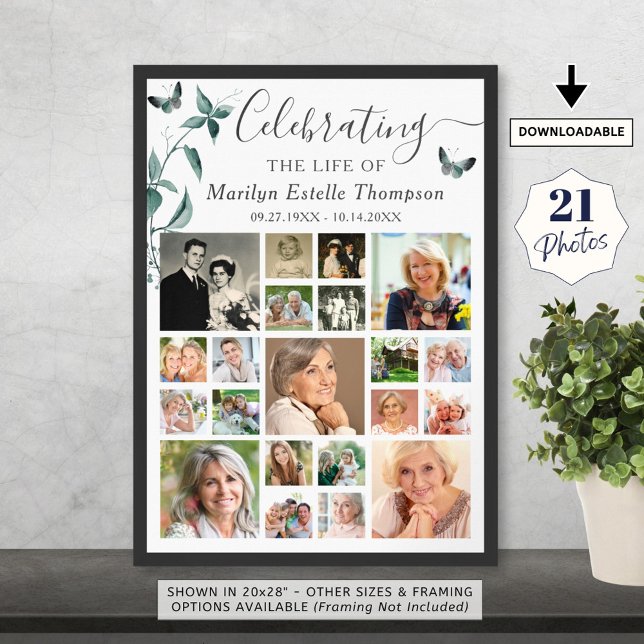 Poster Collage photo funéraire 21 Papillon botanique (Créateur téléchargé)