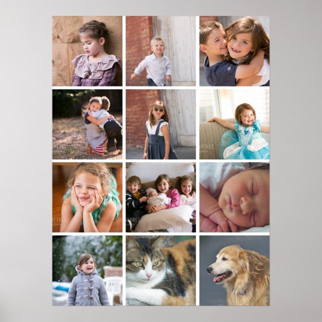 Poster Collage photo personnalisé avec douze photos (Devant)