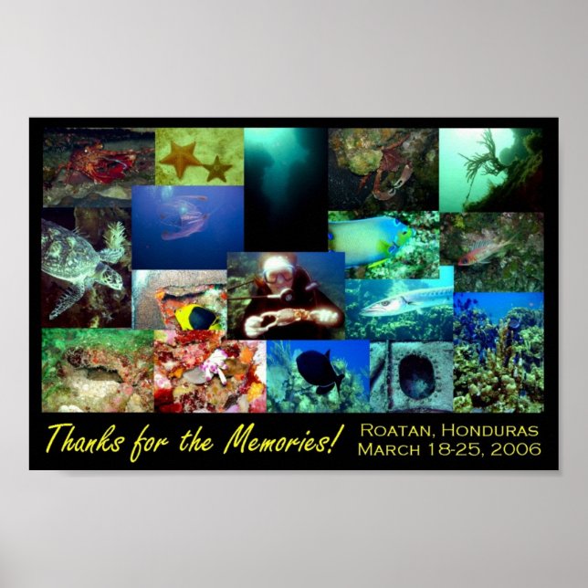 Poster Collage Roatan (Devant)