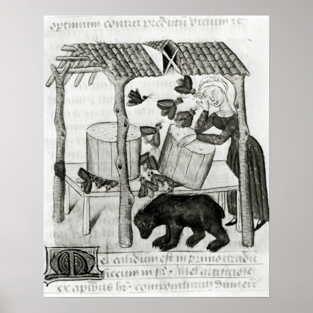 Poster Collecte de miel (Devant)