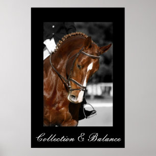 Poster Collecte et solde