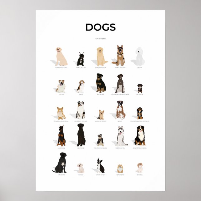 Poster Collection chiens (Devant)