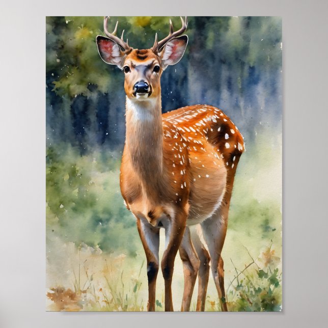 Poster Collection de cerfs : Japonais Sika Deer (Devant)
