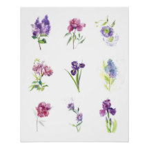 Collection de fleurs printanières à l'aquarelle bo
