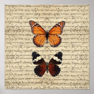 Poster Collection de papillons vintages