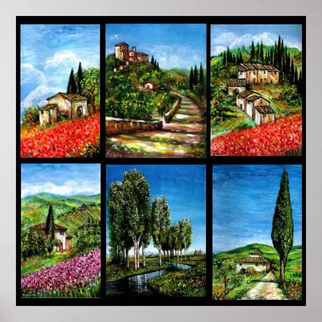 Poster COLLECTION DE PAYSAGES TOSCANE / Flore et champs (Devant)
