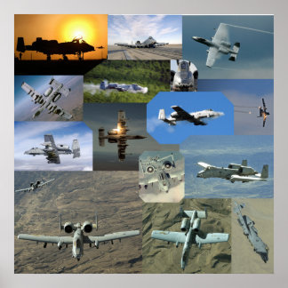 Poster Collection de phacochères