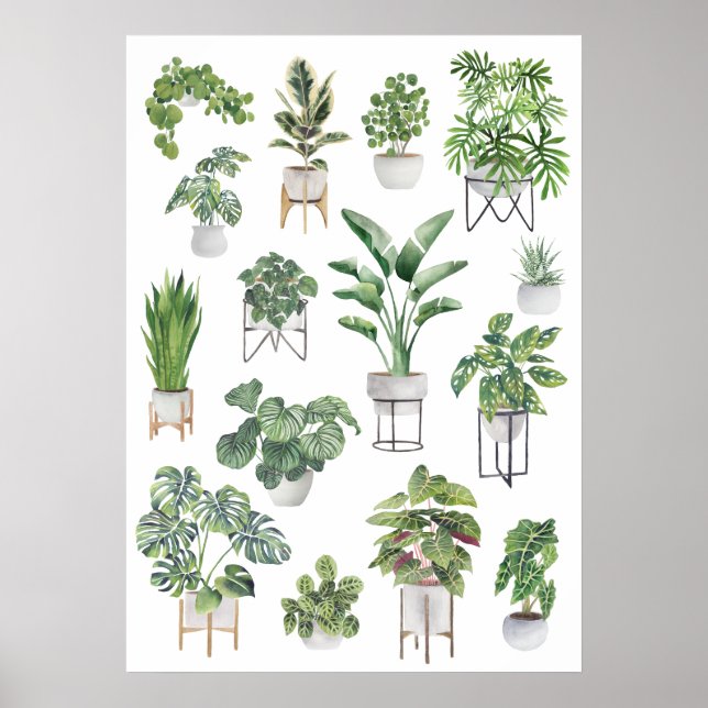 Poster Collection de Plantes pointillés 5 (Devant)