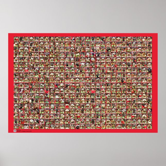 Poster Collection de portraits de chiens de Noël (Devant)