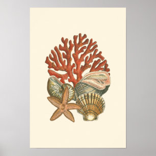 Poster Collection de vies marines