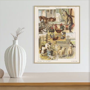 Poster Collection éphémère d'animaux de ferme domestiques