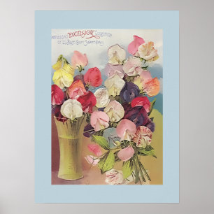 Poster Collection Excelsior vintage de pois sucrés assort