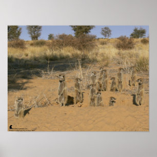 Poster Collection Fluffernutter - Famille