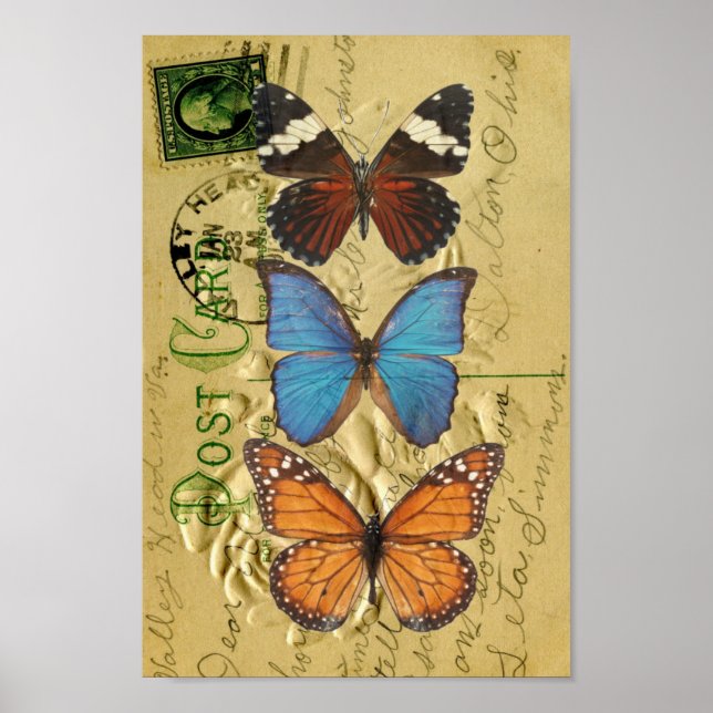 Poster Collection papillon (Devant)