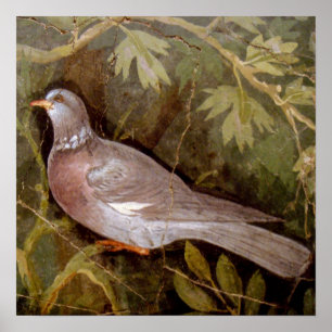 POSTER COLLECTION POMPEI / COLOMBE DANS LE JARDIN