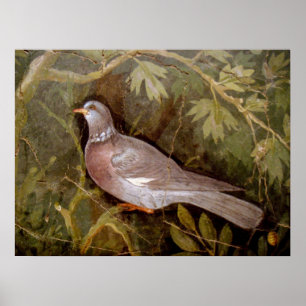 POSTER COLLECTION POMPEI / COLOMBES DANS LE JARDIN