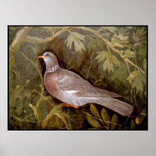 POSTER COLLECTION POMPEII / DOVE DANS LE JARDIN
