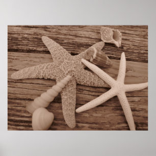 Poster Collection Shell