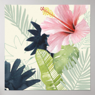 Poster Collection Tropical Punch