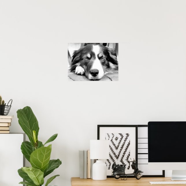 POSTER COLLIE FRONTALIÈRE (Bureau à domicile)