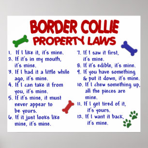 POSTER COLLIE FRONTALIÈRE PL2