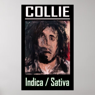 POSTER COLLIE INDICA SATIVA