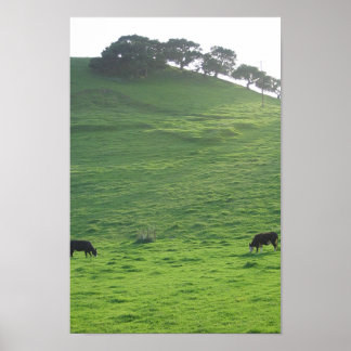 Poster Collines sur 227