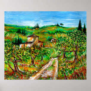 Poster Collines Vertes Et Oliviers Paysage Toscane