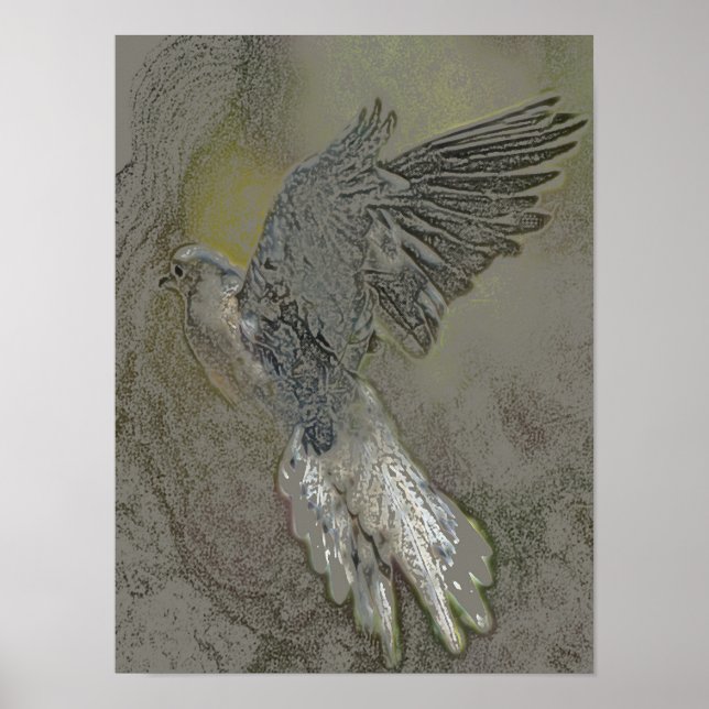 Poster colombe (Devant)