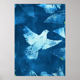 Poster Colombe