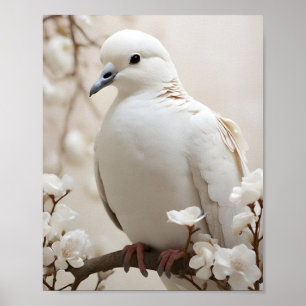 Poster Colombe Blanche Élégante