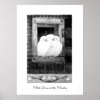 COLOMBES BLANCHES À LA FENÊTRE, noir et blanc