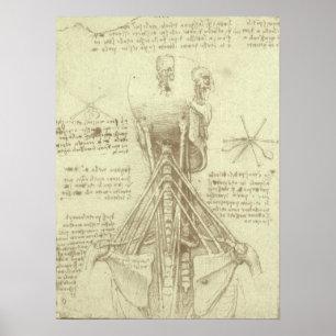 Poster Colonne épinière de l'anatomie humaine par Léonard
