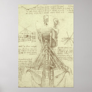Poster Colonne vertébrale de l'anatomie humaine par Léona